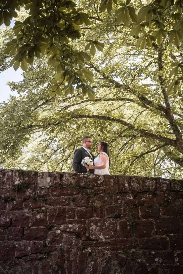 Brautpaar auf der Mauer unter dem Baum, Hochzeit im Moods